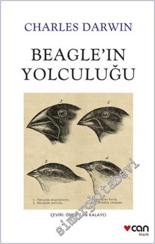 Beagle'ın Yolculuğu - 2024