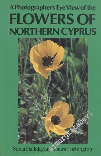 A Photographer's Eye View of The Flowers of Notrhern Cyprus