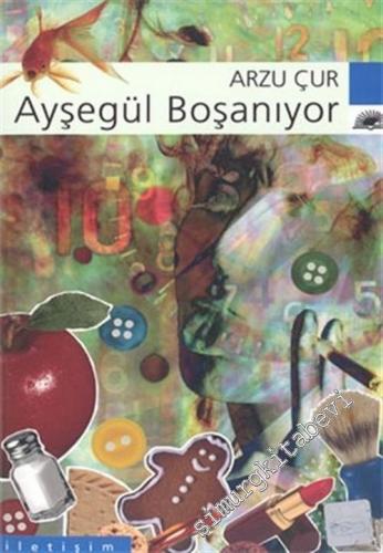 Ayşegül Boşanıyor