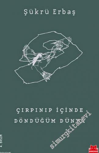 Çırpınıp İçinde Döndüğüm Dünya