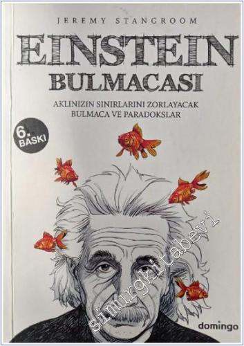 Einstein Bulmacası 1: Aklınızın Sınırlarını Zorlayacak Bulmaca ve Para