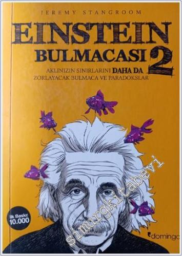 Einstein Bulmacası 2: Aklın Sınırlarını Daha da Zorlayacak Bulmaca ve 