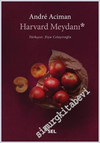 Harvard Meydanı - 2024