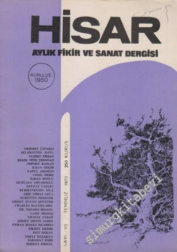 Hisar: Aylık Fikir ve Sanat Dergisi - Sayı: 115, Temmuz 1973