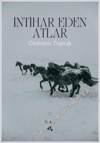 İntihar Eden Atlar - 2024