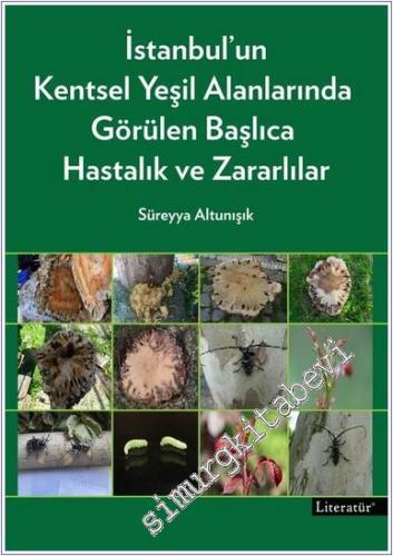 İstanbul'un Kentsel Yeşil Alanlarında Görülen Başlıca Hastalık ve Zara