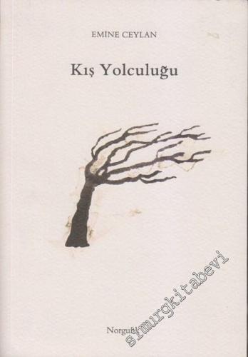 Kış Yolculuğu