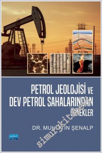 Petrol Jeolojisi ve Dev Petrol Sahalarından Örnekler - 2024