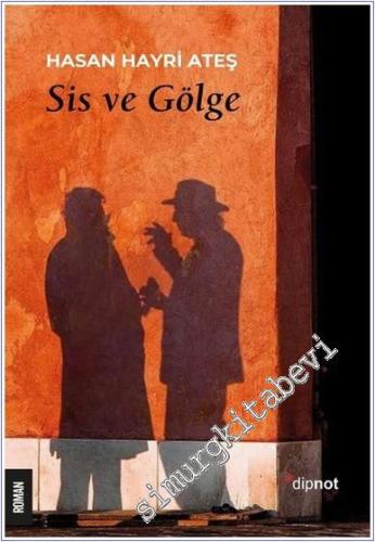 Sis ve Gölge - 2024