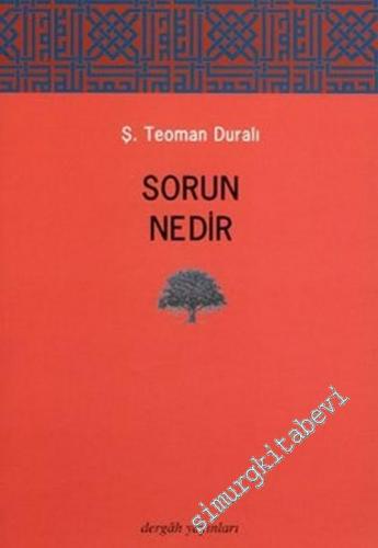 Sorun Nedir ( Felsefe - Bilim, Düşünme Biçimi )