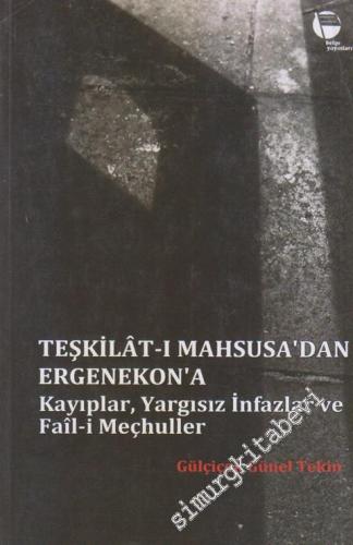 Teşkilat-ı Mahsusa'dan Ergenekon'a Kayıplar, Yargısız İnfazlar ve Fail