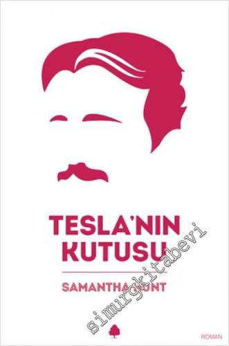 Tesla'nın Kutusu