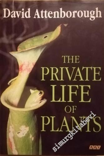 The Private Life of Plants: A Natural History of Plant Behaviour