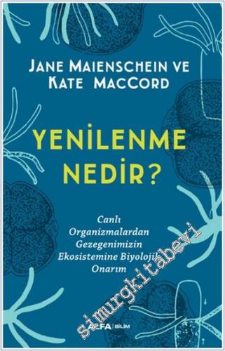 Yenilenme Nedir? - 2024